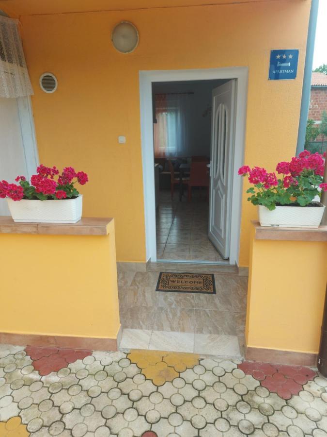 Apartman Sneky Vodnjan Dış mekan fotoğraf